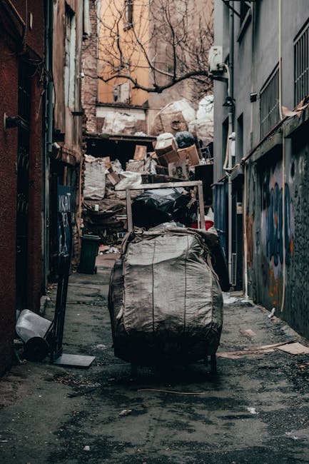 A narrow urban alleyway filled with a large collection of mixed rubbish and waste materials, including multiple black and white garbage bags piled against a cluttered makeshift fence made of wooden planks and cardboard boxes. The alley is flanked by tall, weathered brick and concrete buildings, with graffiti visible on the walls on the right side. Some discarded items, such as a black trash bin and loose debris, are scattered along the damp, uneven asphalt ground, which shows signs of staining from previous waste. In the background, leafless tree branches are visible above the waste, indicating a winter or autumn setting, and the scene is lit with soft, natural daylight. The overall environment appears unkempt and congested, underscoring the importance of professional rubbish removal services, such as those offered by Rubbish Removal Camberwell, for maintaining cleanliness in urban areas.
